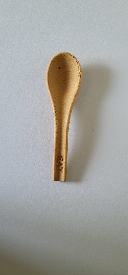 Big Spoon